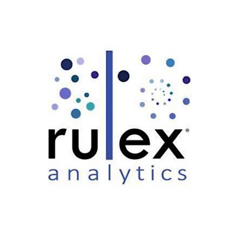 rulex_analytics_logo